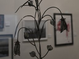 art_show_023